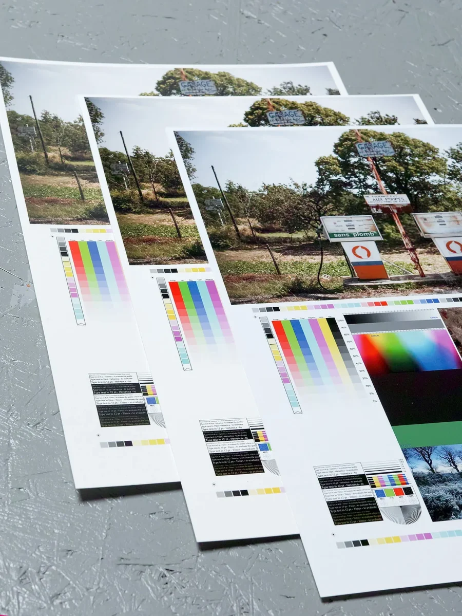 le PORTFOLIO pigmentaire